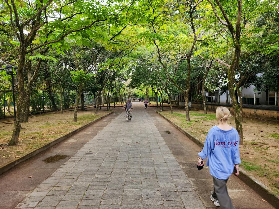 Mujer caminando por una vereda en un parque