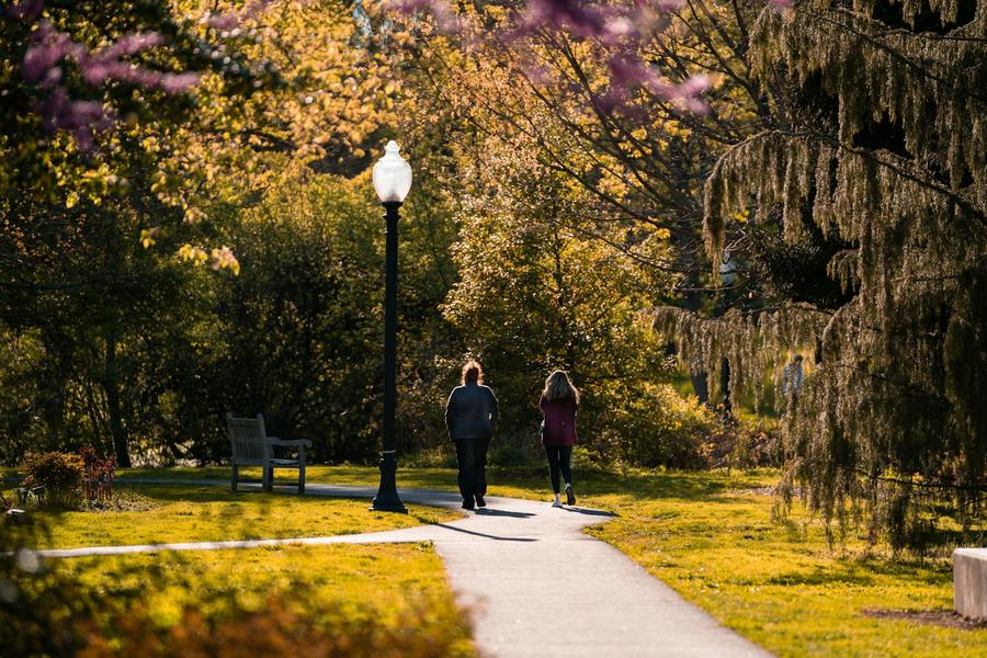 Pareja caminando por una vereda cerca de árboles