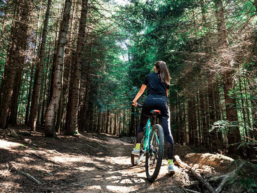 Mujer andando en bicicleta dentro de un bosque
